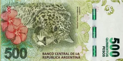 Billete dólar argentino